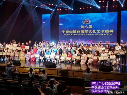 第九屆中國藝術新星國際文化藝術節湖北選區海選報名登記